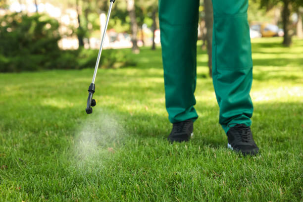Best Affordable Pest Control Services  in Dubuque, IA