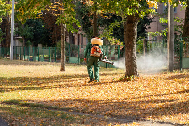 Best Spider Control Near Me  in Dubuque, IA