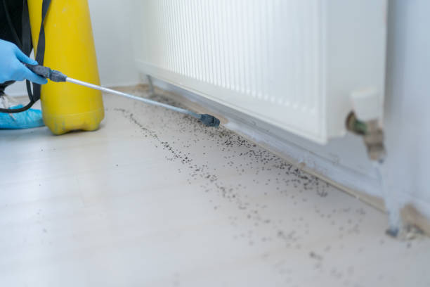 Best Rat Extermination Near Me  in Dubuque, IA